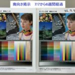 国政 ユポ 耐光 10010 10010