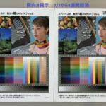 B2 ユポ耐光 +②超UVC付 10256 Two side-by-side posters showing color calibration charts, a woman's portrait, and collage photos including fruit and landscape imagery for UV filter testing.