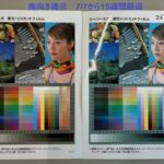 Two side-by-side color calibration posters showing fruit, utensils, a landscape, and a woman's portrait with scarf, plus color swatches for UV-cut film testing.